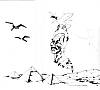 1977 28 novembre Le Nouvel Observateur Dessin de Wiaz Sadate a Jerusalem.jpg